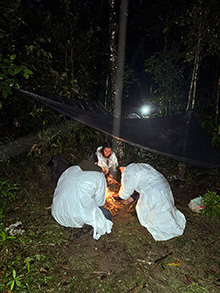 acari_104.jpg